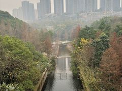 -重庆彩云湖湿地公园