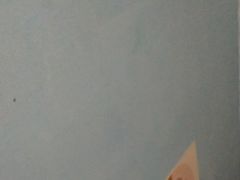 -麦当劳(开萝大道店)