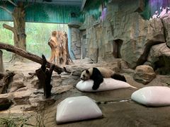 -茶理宜世(东方宝泰店)