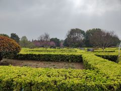 -洛阳市隋唐城遗址植物园