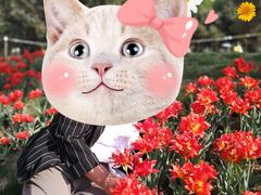 -长春公园(普阳街道)