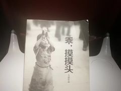 -大冰的小屋(大理古城店)