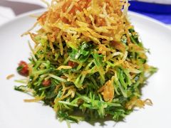 巧拌豆苗-四季民福烤鸭店(王府井灯市口店)