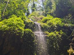-莫里热带雨林景区