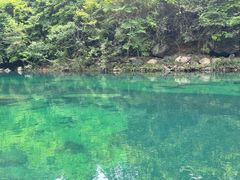 -石台牯牛降景区