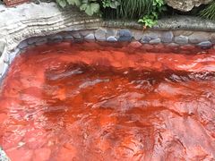 -杭州第一世界大酒店·云曼温泉