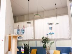 -有猫主题·治愈系猫咖(曾厝垵店)