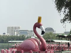-莲花池公园