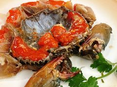 -吴记富苑(朝阳店)