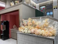 -云南吴氏嘉美医疗美容医院