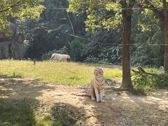 -杭州野生动物世界