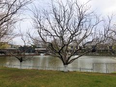 -春晖园度假酒店温泉