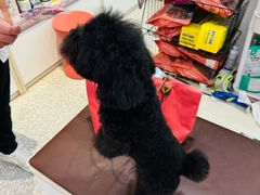 -宠物家(角门东店)