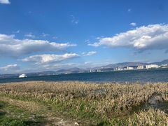 -洱海月湿地公园