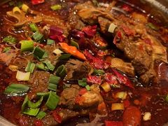 -嘉定凯悦·咖啡厅