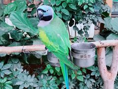 -南宫五洲植物乐园