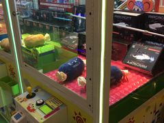-汤姆熊欢乐世界(滨江店)