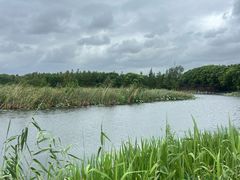 -同里国家湿地公园