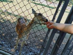 -西安秦岭野生动物园