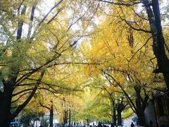 -四川大学(华西校区)