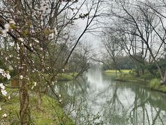 -西溪国家湿地公园