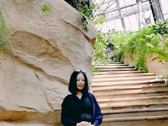 -南山植物园
