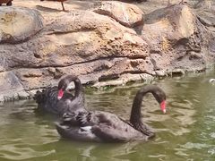 -北京世界公园