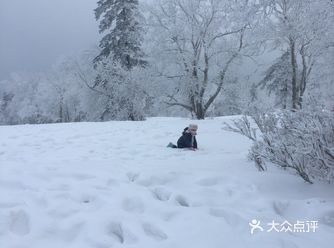距离大秃顶子山4个小时，所以一般去雪乡都会先到这里打卡