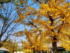 -国家植物园(地铁站)