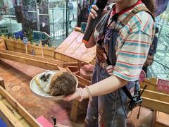-正佳雨林生态植物园