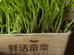 -七欣天香辣蟹火锅(无锡锡沪西路店)