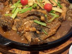 -老板恋上鱼(恒隆广场店)