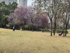 -雀儿山公园