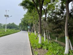 -大兴滨河森林公园