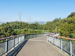 -金鸡山公园