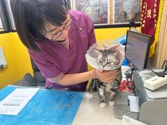 -瑞派·爱瑞可动物医院·口腔专科(广华新城分院)