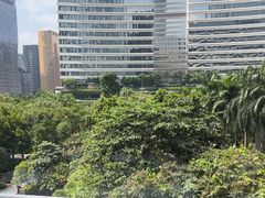 -南海渔村(珠江新城店)