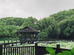 -兰亭风景区