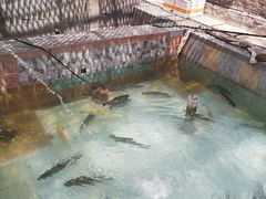 -那啥餐厅(富乐大街店)