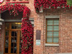 -天津五大道文化旅游区