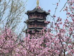 -江苏三台山国家森林公园