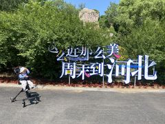 -秦皇岛野生动物园