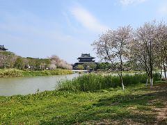 -海珠湖公园