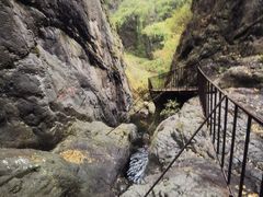 -云岫谷游猎自然风景区