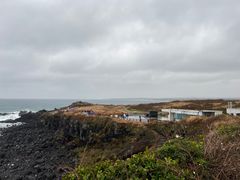 -涉地可支