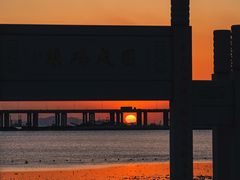 -宝安西湾红树林湿地公园