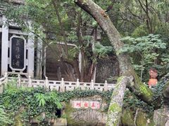-蝴蝶泉公园