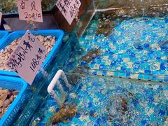 -蚝得喜海鲜(东城店)