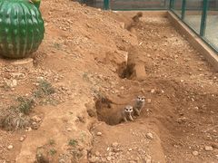 -秦皇岛野生动物园