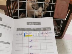 -联合动物医院(光谷诊疗中心)